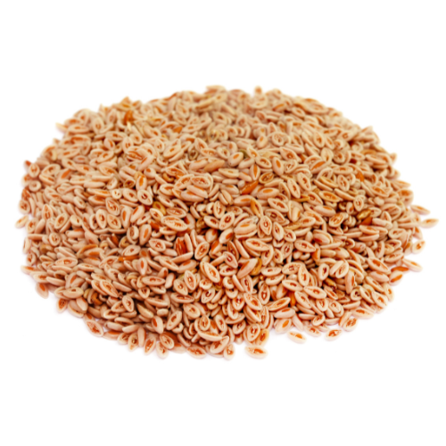 PSYLLIUM